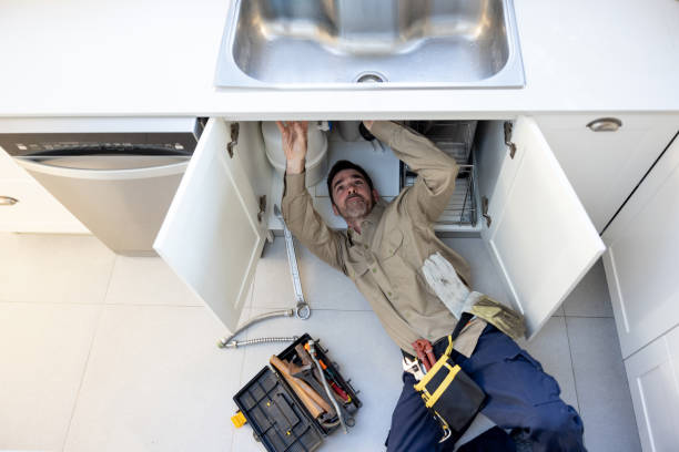 Best Local Plumber Services  in Creve Coeur, MO
